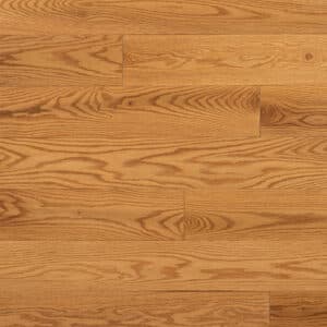 Golden (Red Oak)