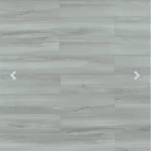 TF6608 Silver City