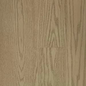 Plank- Nature