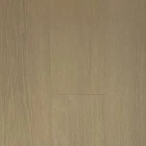 Plank- Calm