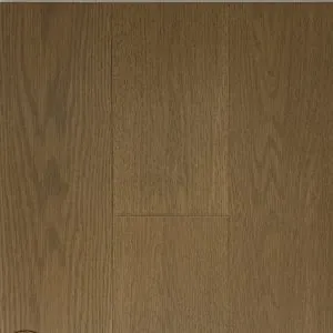 Plank- Enhance