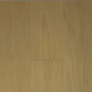 Plank- Senses
