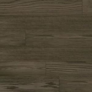 Modern Grey